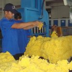 Cao su Phước Hòa: Nhiều kỳ vọng mới
