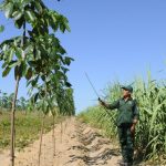 Tăng cường thực hành tiết kiệm, chống lãng phí