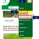 Chẩn đoán dịch hại cây cao su trên thiết bị di động