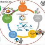 HAWA DDS - Giải pháp hiệu quả gỡ khó cho gỗ cao su Việt Nam
