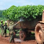 Sổ tay Hướng dẫn quản lý rừng cao su bền vững