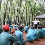 Nỗ lực vượt khó