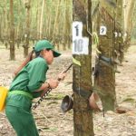 Dự kiến có 37 đoàn tham gia Hội thi Bàn tay vàng 2018