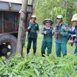 Hiệu quả từ thay đổi phương thức sản xuất cây giống ở Cao su Dầu Tiếng