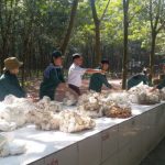 Thi đua nước rút - Nhiều ý nghĩa từ một phong trào