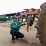 Hiệu quả từ cải tiến máy kéo dây leo thảm phủ mucuna