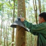 Giải pháp sử dụng mái che mưa lâu dài