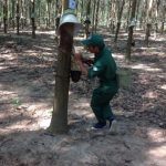 Thợ giỏi vùng biên đua tài