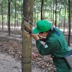 Ban hành Nội quy - Quy chế Hội thi Bàn tay vàng