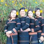 Mãn nhãn với lễ hội hoa Dã Quỳ trên núi lửa Chư Đăng Ya