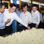 Đảng ủy khối DNTW thăm và làm việc tại Cao su Đồng Phú, Phú Riềng