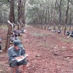 Thợ giỏi Campuchia và Lào: Chất lượng tay nghề nâng cao