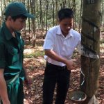 “Tôi nhận được nhiều từ Hội thi Bàn tay vàng”