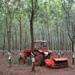 Trường thi NT Cẩm Đường: Vườn cây đẹp, địa hình bằng phẳng