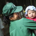 Mẹ tôi là công nhân cạo mủ 