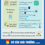 Thông tin tổng quan Hội thi Bàn tay vàng khai thác mủ cao su lần thứ XI năm 2018