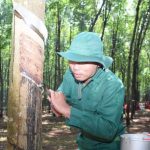 Niềm tin về một vùng đất