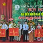 Tập trung vào giải pháp cho năm 2019