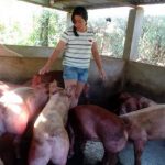 Gia đình có 10 người con làm công nhân cao su