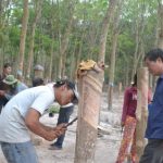 VRG áp dụng công cụ giảm thiểu rủi ro về môi trường và xã hội trong đầu tư ra nước ngoài