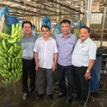 Cao su Dầu Tiếng quy hoạch hơn 2.100 ha phát triển nông nghiệp công nghệ cao