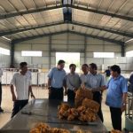 Giải quyết nhiều công việc quan trọng, cấp thiết