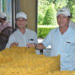 Trên 98% sản phẩm đạt tiêu chuẩn xuất khẩu