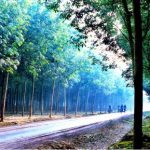Chung tay xây dựng nông thôn mới