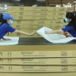 Chứng nhận VFCS/PEFC tiếp bước đột phá cho xuất khẩu gỗ và lâm sản VN