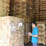 Phát triển các ngành nghề có triển vọng để tăng doanh thu, lợi nhuận