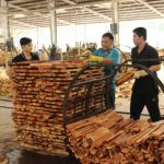 Hiệp định VPA/FLEGT: Thúc đẩy thương mại gỗ và sản phẩm gỗ vào thị trường EU