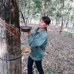 Nữ công nhân tận tụy, yêu nghề