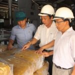Cao su Quảng Trị chế biến hơn 200 tấn sản phẩm thương hiệu VRG
