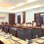 Khẩn trương rà soát và xây dựng kế hoạch sử dụng đất cao su