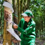 Nghĩa vụ và trách nhiệm