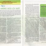 Kết quả Cuộc thi sáng tác “Tự hào 90 năm truyền thống ngành cao su”