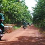 Cao su Krông Buk – Ratanakiri: Hoàn thành kế hoạch sớm 35 ngày