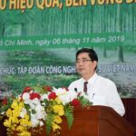 Cần cơ chế, chính sách giúp ngành cao su phát triển hiệu quả, bền vững