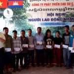 Cao su C.R.C.K đưa thêm 1.646 ha cao su vào khai thác