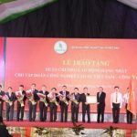 10 sự kiện nổi bật ngành cao su năm 2019