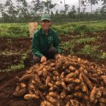 Phất lên nhờ phát triển kinh tế gia đình