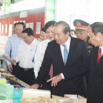 Lãnh đạo Đảng, Nhà nước với ngành cao su