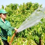 Phát triển kinh tế gia đình: Những cách làm mới