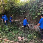 Đoàn Thanh niên Cao su Dầu Tiếng: Ra quân Ngày Chủ nhật xanh