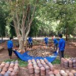 Nhiều hoạt động ý nghĩa trong Tháng thanh niên 2020
