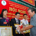 Cao su Ea H’leo: Thu mua đạt 193% kế hoạch