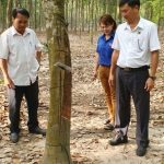NT Lai Uyên: 16 năm liền đạt năng suất 2 tấn/ha