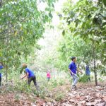 Nhớ màu áo xanh tháng ba