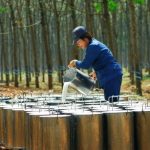 Vượt qua thử thách để hoàn thành nhiệm vụ chính trị năm 2020