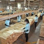 Phát triển bền vững ngành gỗ sau đại dịch Covid-19